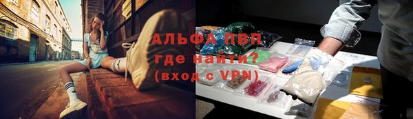 круглые Аркадак
