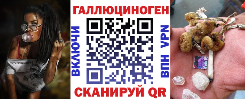 где можно купить darknet наркотические препараты Галлюциногенные грибы мицелий Крым мега ССЫЛКА